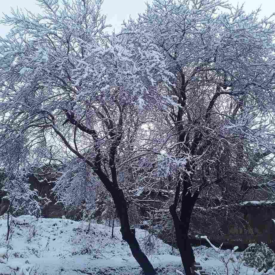 آهنگ جدید شبنم تووزلو من بیلیردیم گوزل اینسان سنی